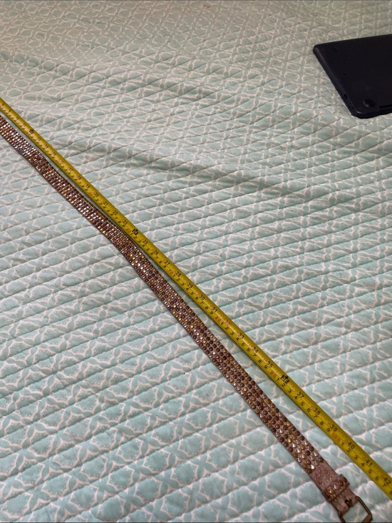 Silver gold, copper, and bronze metallic leather belt main image 2